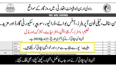 Ravi Urban Development Authority RUDA Jobs 2024 Latest Advertisement