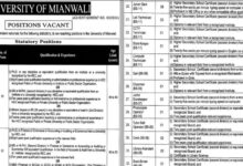 University of Mianwali Jobs 2024 in March