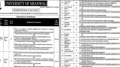 University of Mianwali Jobs 2024 in March