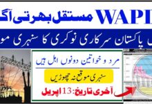 WAPDA Jobs 2024 for April Online Apply