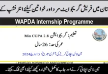 WAPDA Paid Internship Program 2024