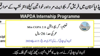 WAPDA Paid Internship Program 2024