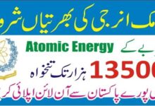 Atomic Energy PAEC Jobs 2024 Advertisement No 2