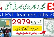 EST Elementary School Teachers (BPS-11) Job Vacancies for Males and Females in AJK
