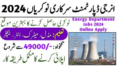 Energy Department Jobs in Punjab 2024