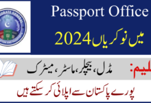 Immigration and Passport Office Jobs 2024 (BS-01 to BS-17)