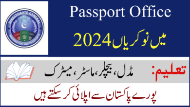 Immigration and Passport Office Jobs 2024 (BS-01 to BS-17)