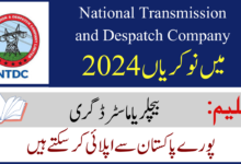 NTDC Jobs 2024 in April Advertisement