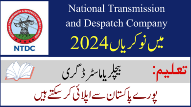 NTDC Jobs 2024 in April Advertisement