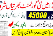 WAPDA Jobs 2024 for Clerks and Steno Online Apply