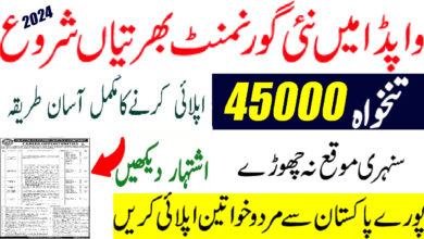 WAPDA Jobs 2024 for Clerks and Steno Online Apply