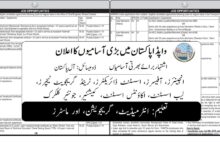 WAPDA OTS Jobs December 2024