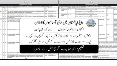 WAPDA OTS Jobs December 2024