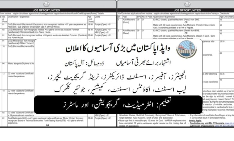 WAPDA OTS Jobs December 2024