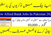 Allied Bank Jobs 2024 Fresh Graduates Customer Support Officers