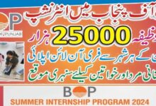 Bank of Punjab Summer Internship Program 2024 (Fresh Graduates and Students)