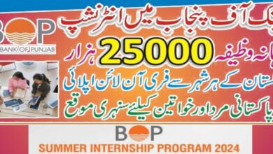 Bank of Punjab Summer Internship Program 2024 (Fresh Graduates and Students)