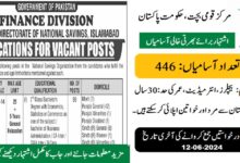 Central Directorate of National Savings Jobs 2024 for June