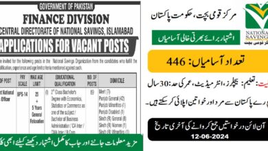 Central Directorate of National Savings Jobs 2024 for June