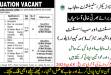 Deputy Director Establishment Jobs 2024 (Senior Assistant & Sub Assistant)