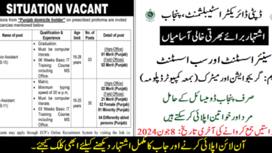 Deputy Director Establishment Jobs 2024 (Senior Assistant & Sub Assistant)