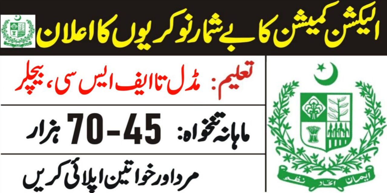 ECP Punjab Jobs 2024 (Assistants BPS11 & BPS15)