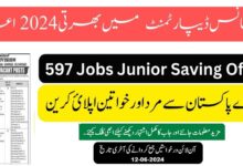 Junior National Saving Officer Jobs 2024