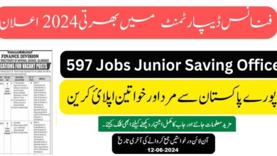 Junior National Saving Officer Jobs 2024