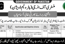 Ministry of Energy (Petroleum Division) Jobs 2024 in May
