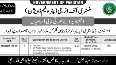 Ministry of Energy (Petroleum Division) Jobs 2024 in May
