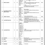Ministry of National Health Jobs 2024 BPS-01 to BPS-15