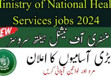 Ministry of National Health Services Jobs 2024