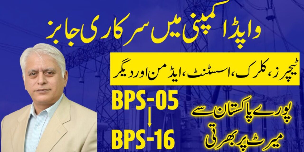 NTDC WAPDA Jobs 2024 (BPS-05 to BPS-16)