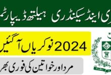 Primary & Secondary Healthcare Department Punjab Jobs 2024