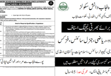 Punjab Daanish School Jobs December 2024