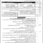 Punjab Police BPS-07 Jobs 2024 (Wireless Operators Males and Females)