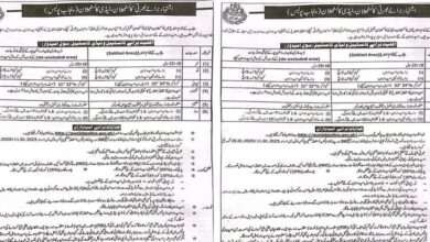 Punjab Police Jobs 2025 Advertisement Application Forms