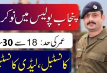 Punjab Police Latest Jobs 2024 in May 2024