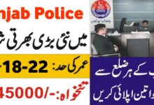 Punjab Police Wireless Operator Jobs 2024