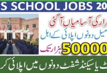 QDPS Latest Teaching Jobs 2024