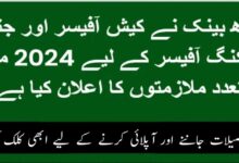 Sindh Bank Cash Officers and General Banking Officers Jobs 2024