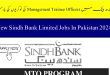 Sindh Bank Jobs 2024 (MTO Program Fresh Graduates 14 and 16 Years Education)