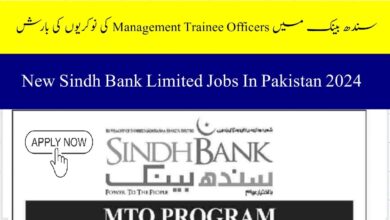 Sindh Bank Jobs 2024 (MTO Program Fresh Graduates 14 and 16 Years Education)