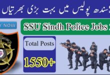 Special Security Unit SSU Jobs 2024