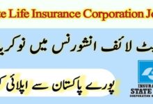 State Life Insurance Jobs 2024 in June