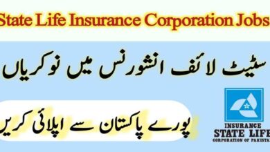 State Life Insurance Jobs 2024 in June