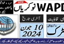 WAPDA Jobs 2024 for June