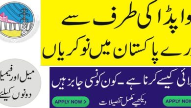 WAPDA Lahore Jobs 2024 (BPS-01 to BPS-05)