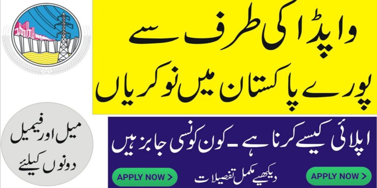 WAPDA Lahore Jobs 2024 (BPS-01 to BPS-05)