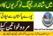 WAPDA Teachers Jobs May 2024 Online Apply